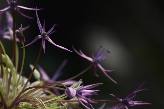 全国节能宣传周讲话稿(精选2篇)