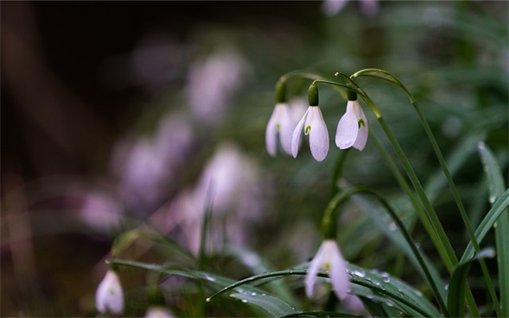 项目总工的基本职责大全(精选3篇)