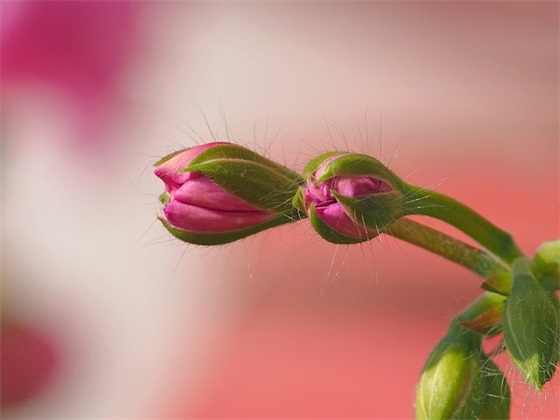 员工离职通告(精选13篇)