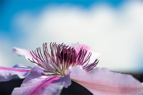 芬芳润心田(精选3篇)