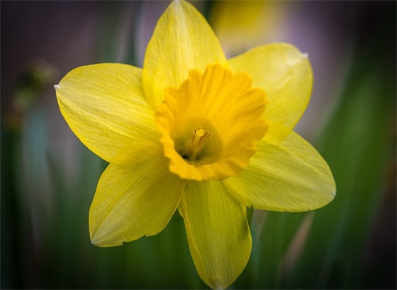 金典短词短句 熊出没金典短句(精选82句)