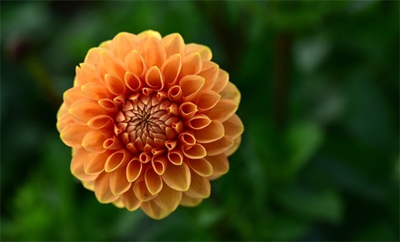 廉政警示教育格言(精选77句)