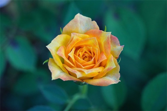 写一封信的格式(精选4篇)