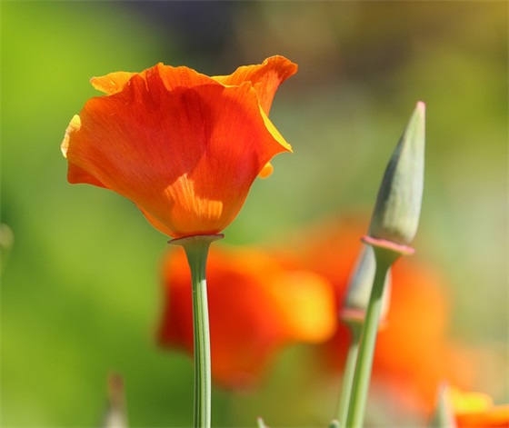 关于耐人寻味的励志人生格言分享(精选70句)