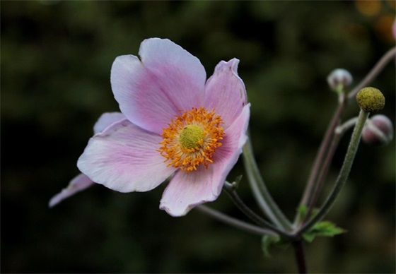 有关控制自己情绪的经典语句(精选48句)