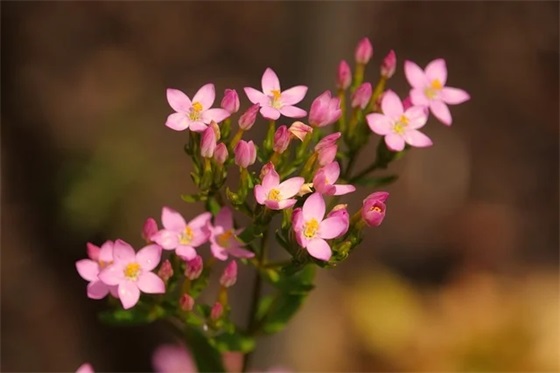 护蛋行动(精选4篇)