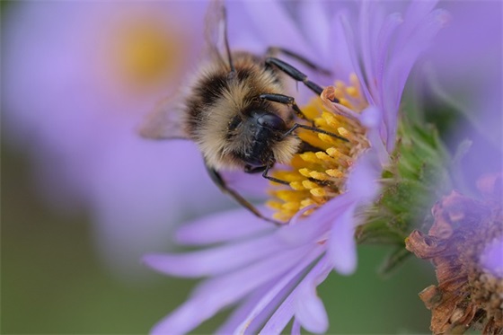 表扬和鼓励孩子的话语(精选58句)
