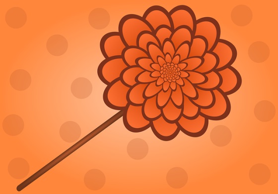 适合今天发的朋友圈文案励志(精选50句)