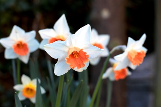 用连续动作写一句话 用五个连续动作写一句话