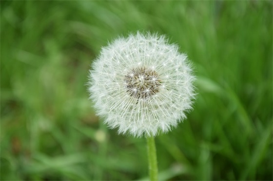 字励志短句霸气 字励志短句霸气女人(精选100句)