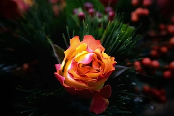 家具采购岗位职责(精选10篇)