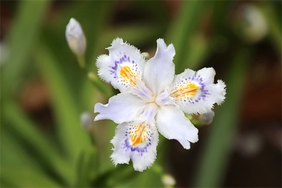 女人自信与魅力的短句大全 女人自信与魅力的短句