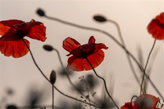 关于简短霸气的励志座右铭大全(精选75句)