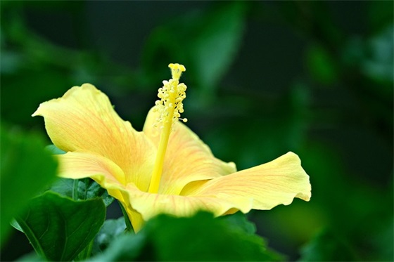 骗了女朋友道歉的话语 女朋友哭了道歉的话语