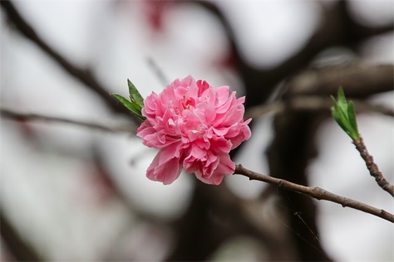 动态签名 动态签名和静态签名的区别(精选77句)