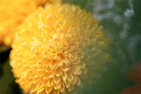 教育座右铭 教育座右铭小学教师简短(精选78句)