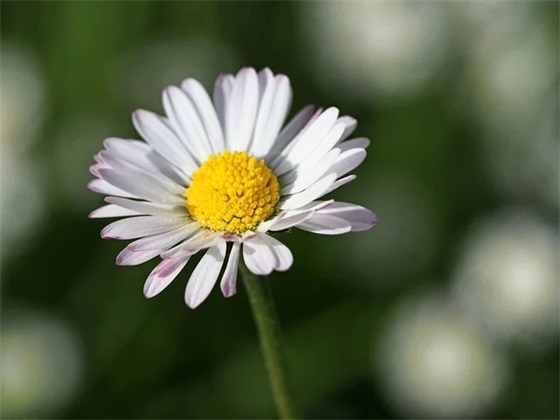 朋友生病安慰的话(精选40句)