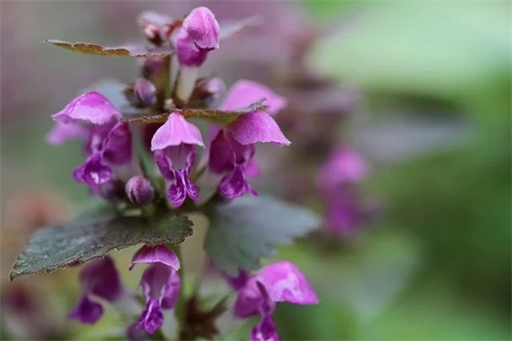 魅力男人的特质语录 【魅力男人的十大标准】