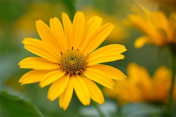 感人的话语录 【感人的话语录简短】