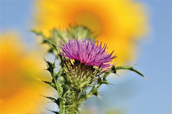 早安正能量健康语录 【早安健康正能量短句】