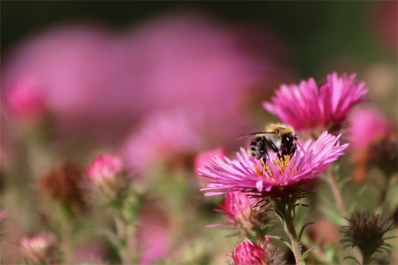 高中生毕业赠言 【100句精选】