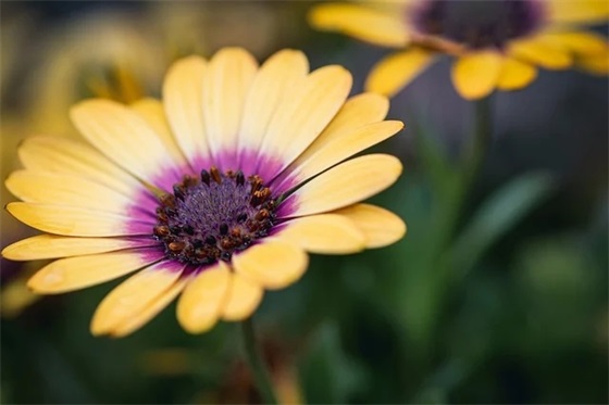 大学语录 【中国政法大学语录】