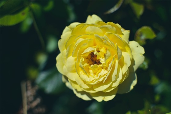 宫崎骏异地恋语录 【宫崎骏关于异地恋】