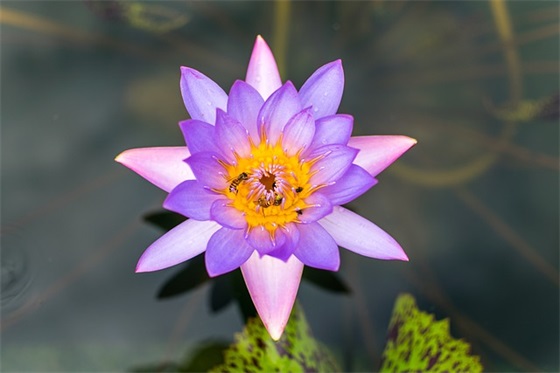 早上正能量语录简短 【早晨充满正能量的句子】