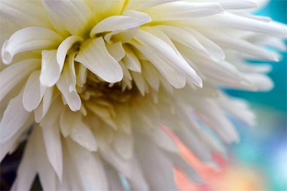 春天心情语录 【春天心情语录2024最新唯美】