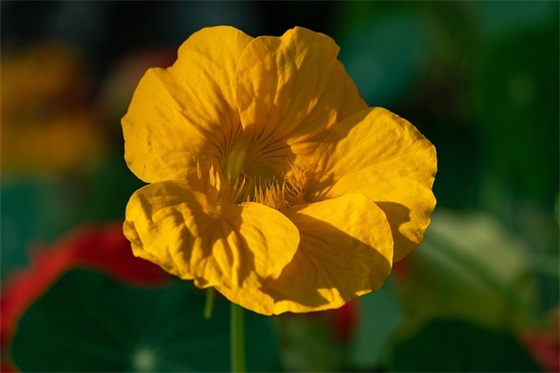 形容农民种地辛苦的句子 【100句精选】