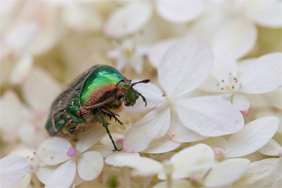 张真源正能量语录 【张真源语录激励】