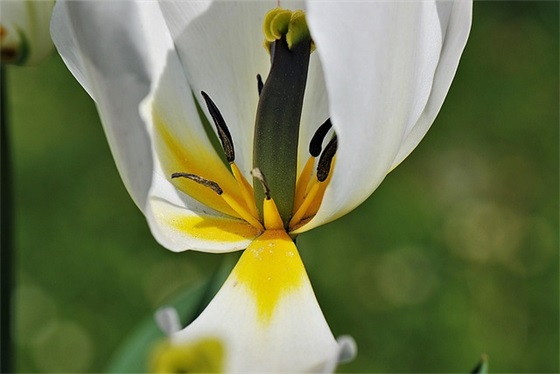 形容历史悠久文化底蕴的句子 【形容历史文化悠久的词语】