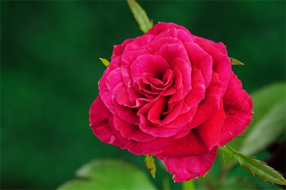 正能量语录长一点的 【正能量长文语录】