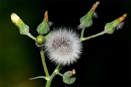 哄女孩子语录 【哄女孩子消气的话】