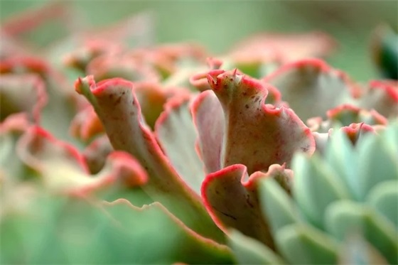 小学毕业祝福语录 【小学毕业祝福语句】