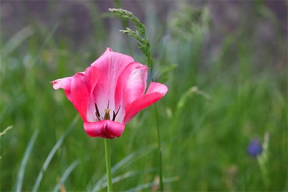 热恋中的情感语录 【热恋中的情感语录摘抄】