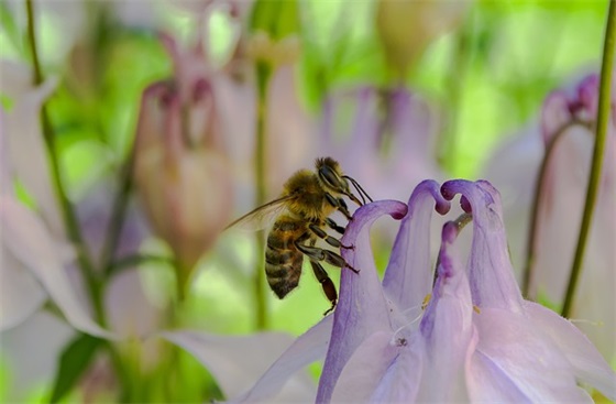 初三老师给学生的毕业赠言 【老师送给初三学生毕业留言】