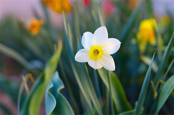 好听有内涵的女孩名字参考 2025怎么起名最受欢迎