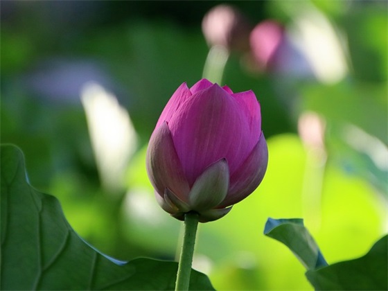 亮字取名寓意，亮字取名的寓意女孩