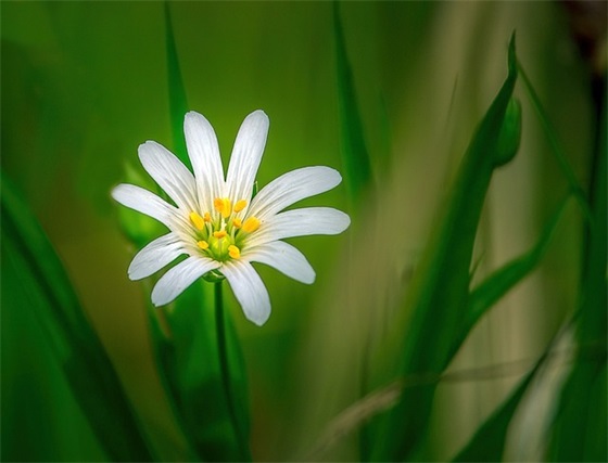 卢姓女孩名字大全_姓卢的女孩名字_卢姓女孩起名