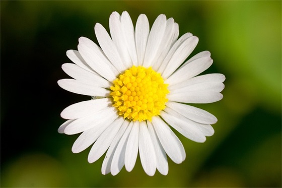 马姓男孩子好听的名字有哪些？推荐有寓意的马姓男孩名字