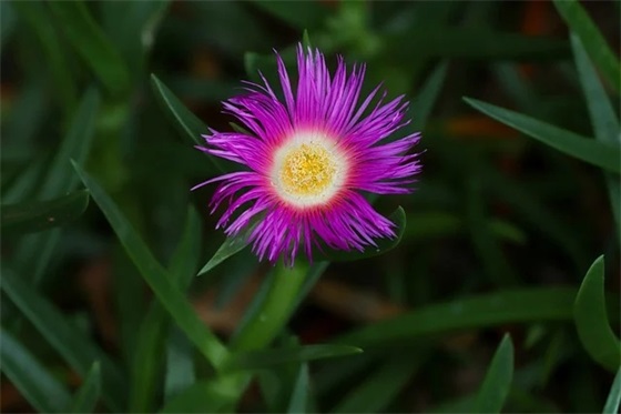 白姓男宝宝取名指南：好听又寓意深远的名字大公开!