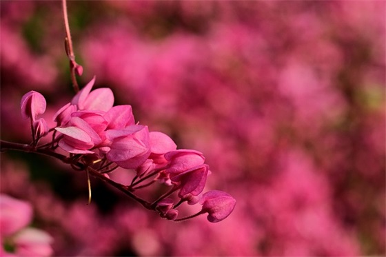 给宝宝起小名的诀窍