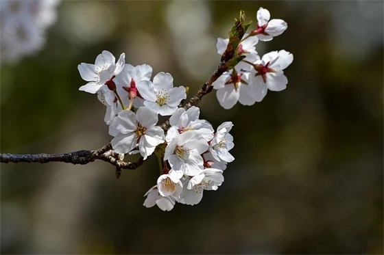 男孩起名必看的起名方法，能带来不少帮助