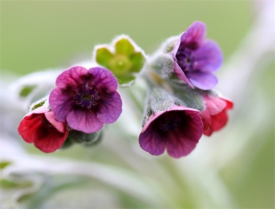 讷言敏行，言行合一的女孩名字大全