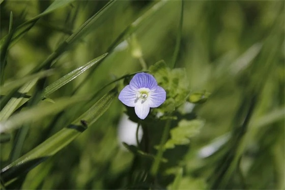 2025年文艺清新好听的蛋糕店名字