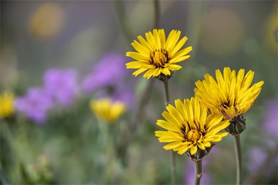 全屋家居定制宅配店名字大全
