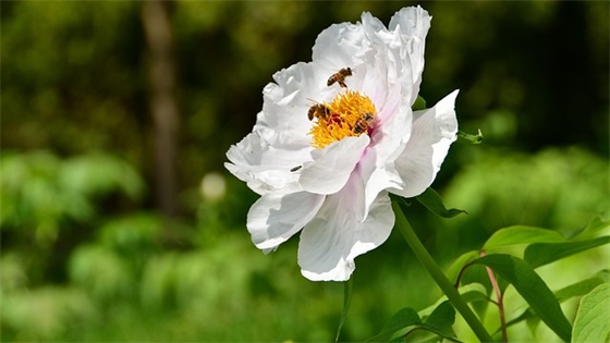 徐姓女孩名字大全_姓徐的女孩名字_徐姓女宝宝如何起名