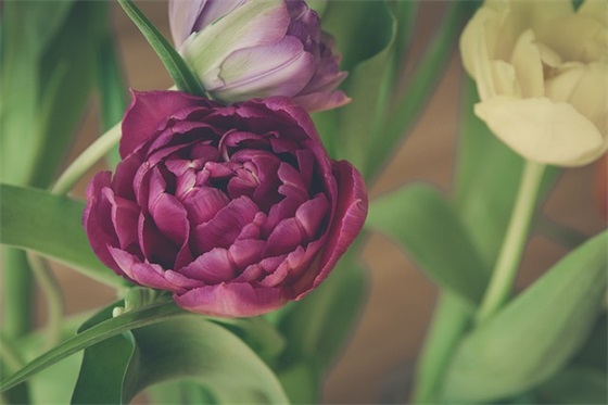 武姓取名大全男孩（武翊平、武德超、武奕夫）