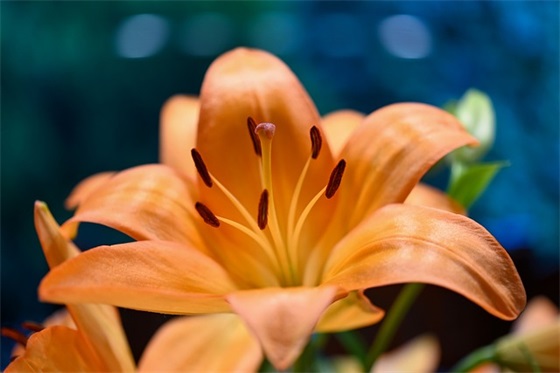 2025宝宝起名宜用字有哪些？怎么起名寓意聪明